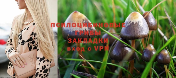 сатива Аркадак